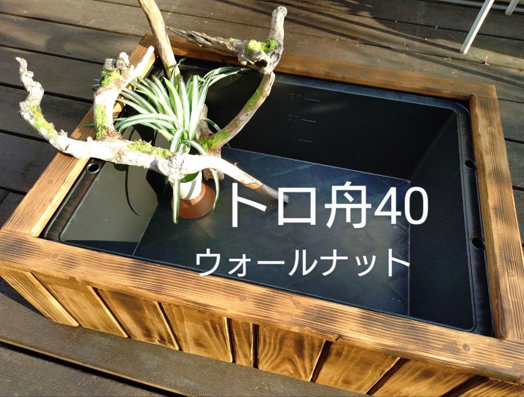 【めだかの畔】トロ舟40と木枠セット(ウォールナット)