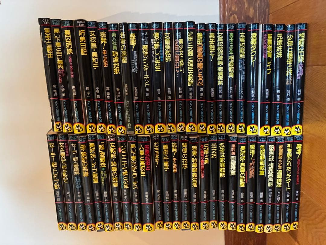 早い者勝ち フランス書院文庫 大量 50冊 大量 まとめ売り 官能小説