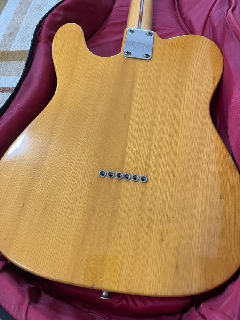 かにさんデラックス　1976年Aria Pro II TE-500N