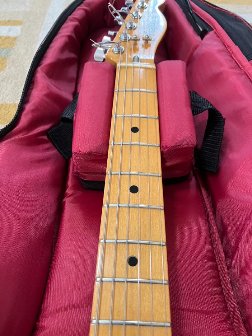 かにさんデラックス　1976年Aria Pro II TE-500N