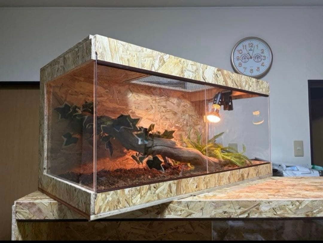 爬虫類ケージ 80×40×40 サイドアクリル　飼育ケージ ケージ 爬虫類