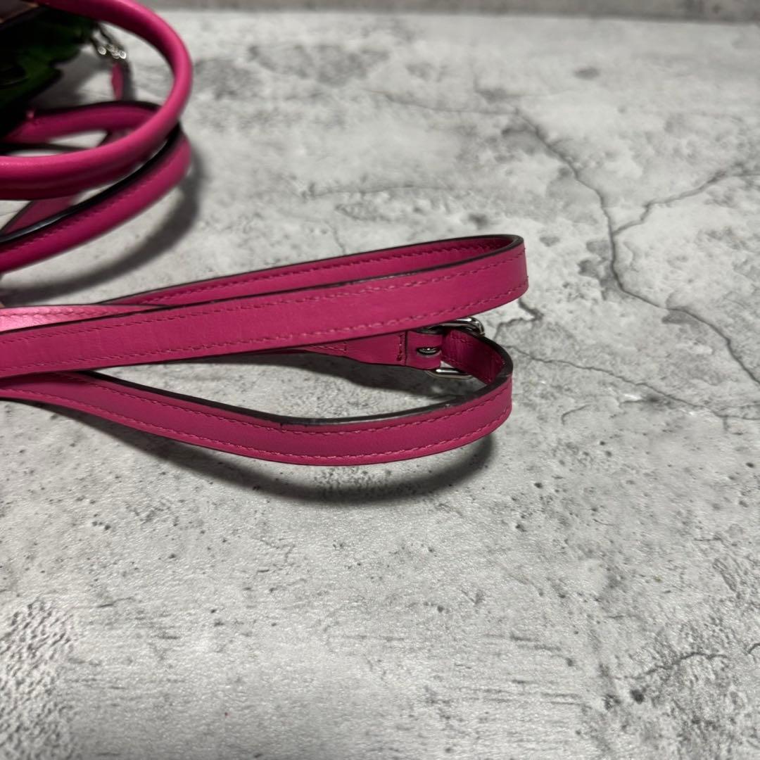 美品✨️希少 コーチ 2way ショルダーバッグ スワッガー レザー マルチカラー