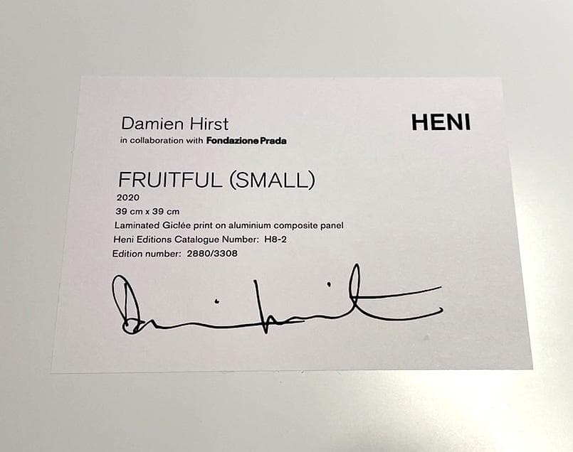 【Fruitful small】ダミアン ハースト ラミネート アルミパネル