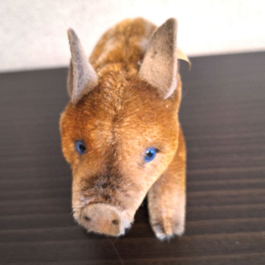 【青い目の若いイノシシ】ヴィンテージ シュタイフ