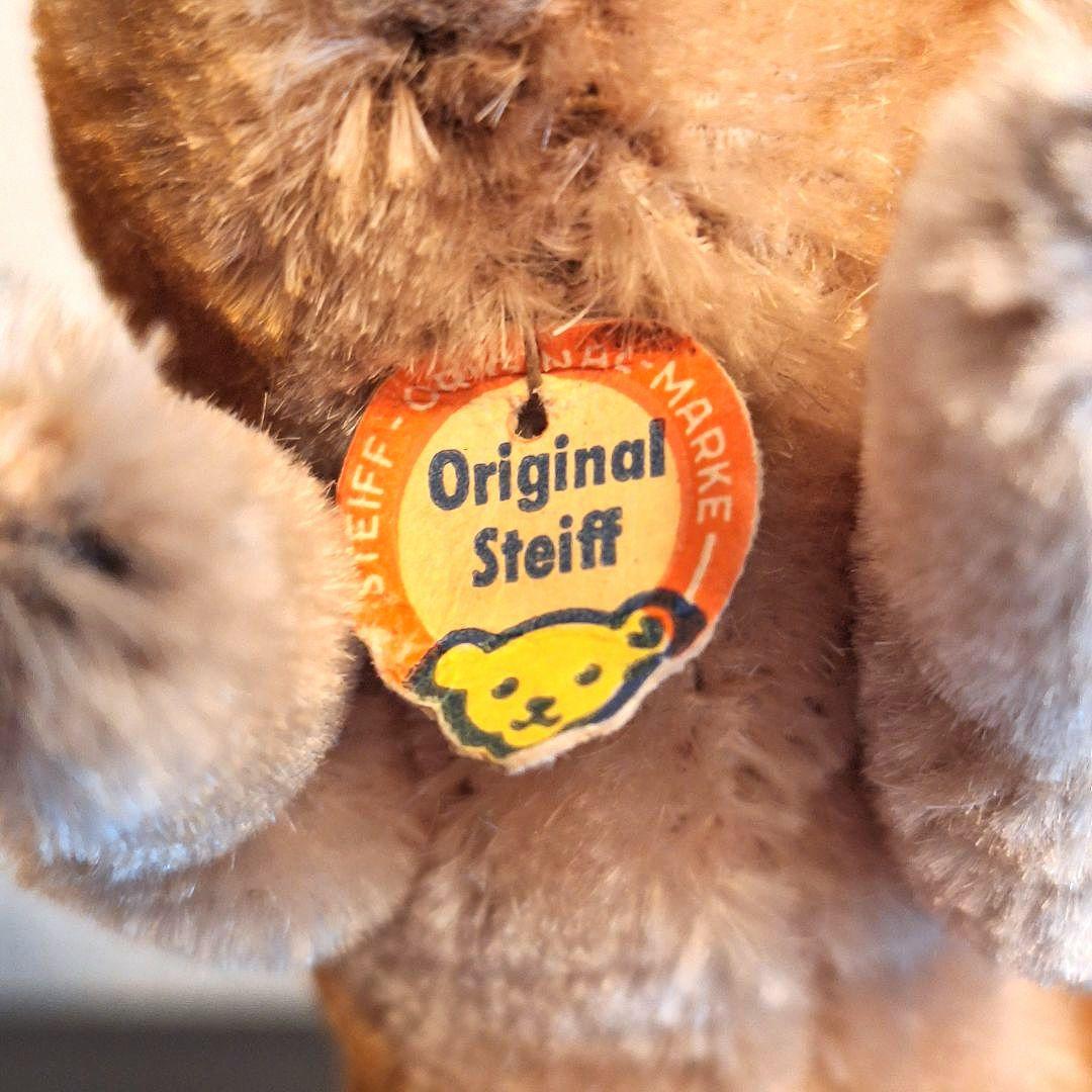 【青い目の若いイノシシ】ヴィンテージ シュタイフ