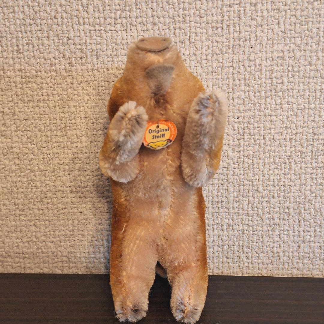 【青い目の若いイノシシ】ヴィンテージ シュタイフ