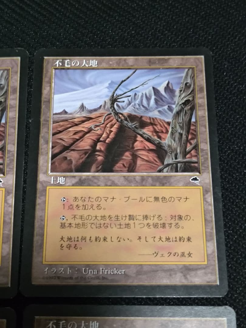 MTG　不毛の大地　日本語　4枚セット