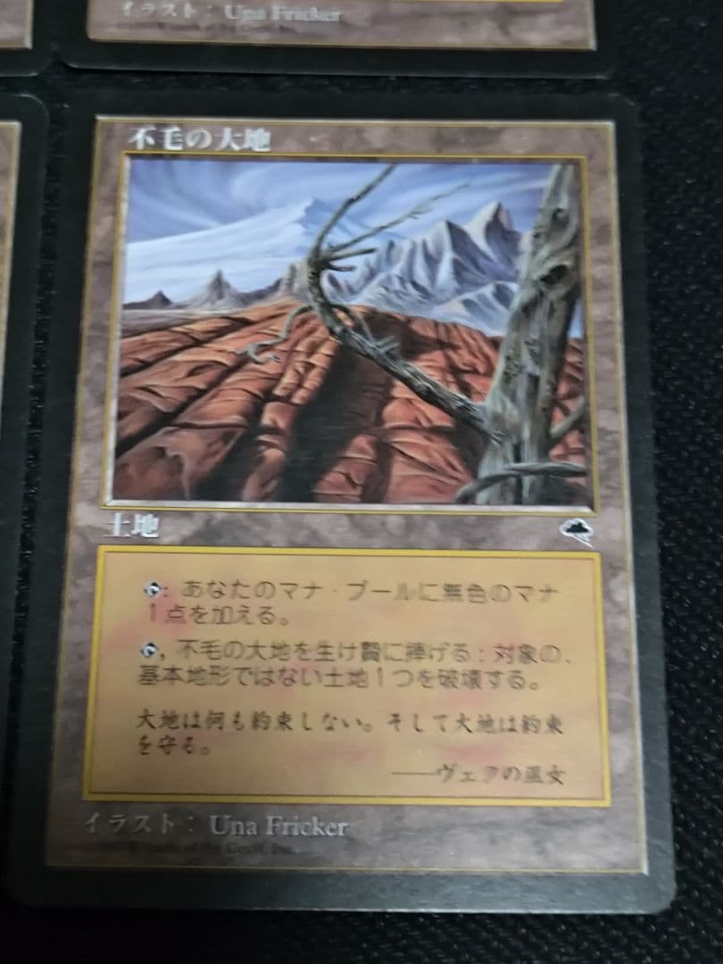 MTG　不毛の大地　日本語　4枚セット