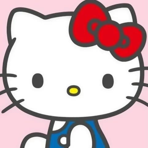 ぽっちゃりキティハローキティ洋服Ｔシャツパーカー等とぬいぐるみセット