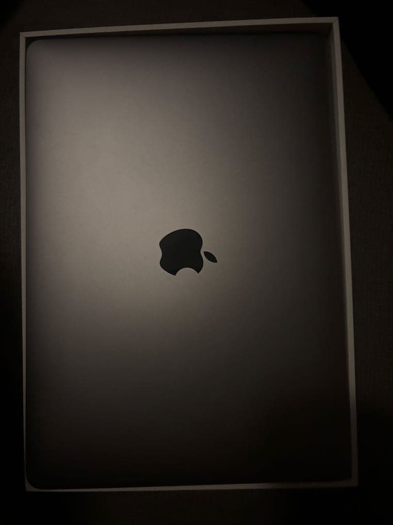 MacBook Air 2020 M1 8GB 256GB 最大容量100%