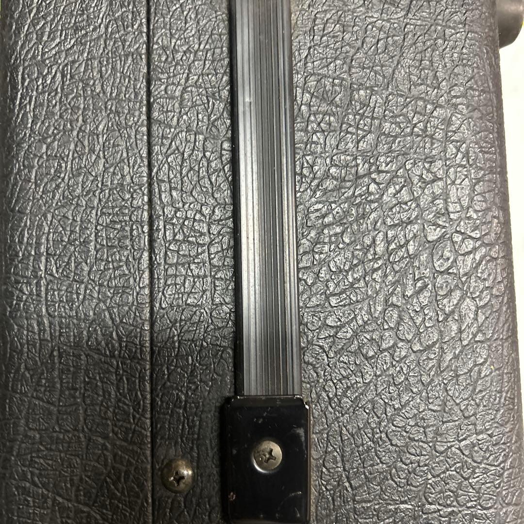 【早い者勝ち】Roland SPACE ECHO RE-201これ以上値下げなし