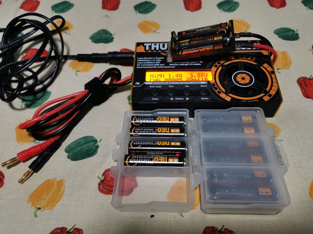 充電器　サンダー10A250W（アンチマター同等品）、ネオチャンプ12本付き