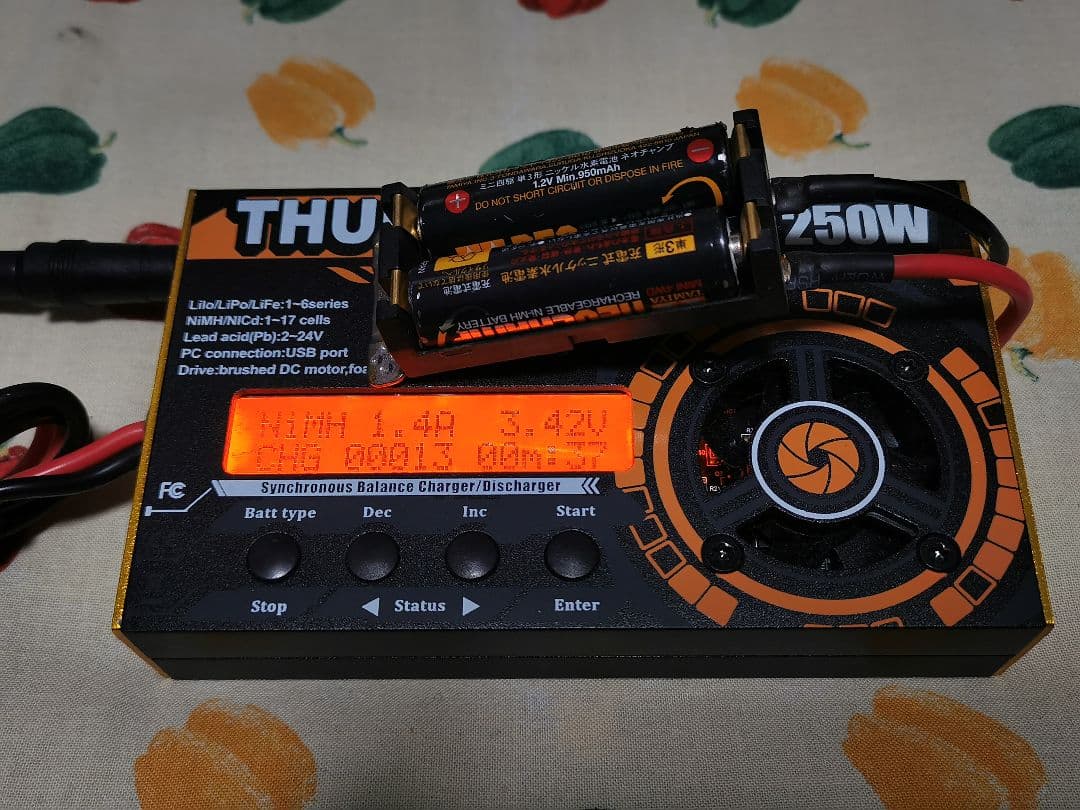 充電器　サンダー10A250W（アンチマター同等品）、ネオチャンプ12本付き