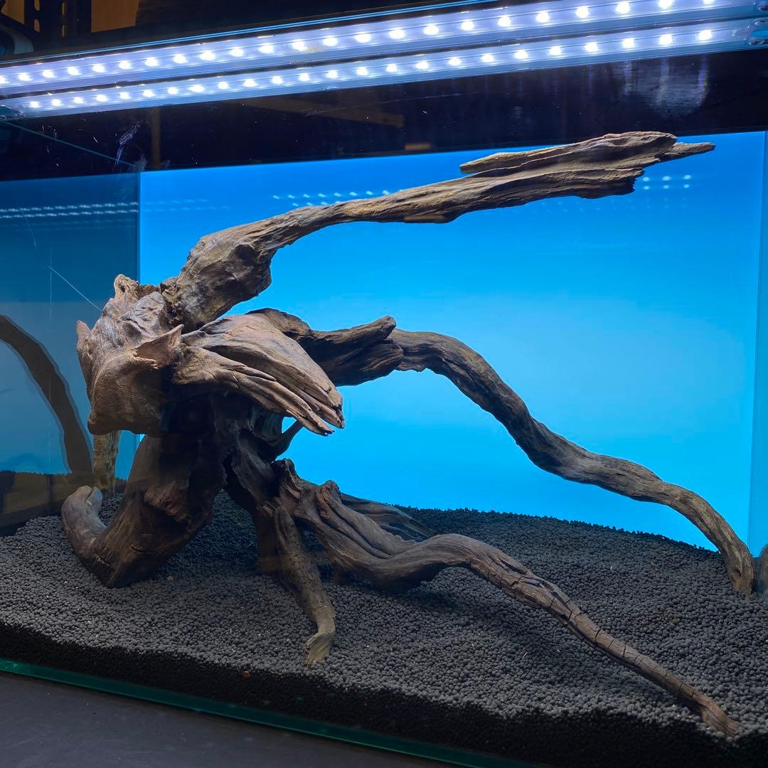 MRW-6691 赤系天然流木レイアウトセット　60cm水槽用流木　アクアリウム