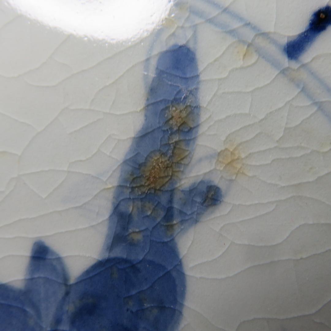 古伊万里 中皿 染付 4枚 甘手 蛤チップ 歪み 貫入 獅子 江戸