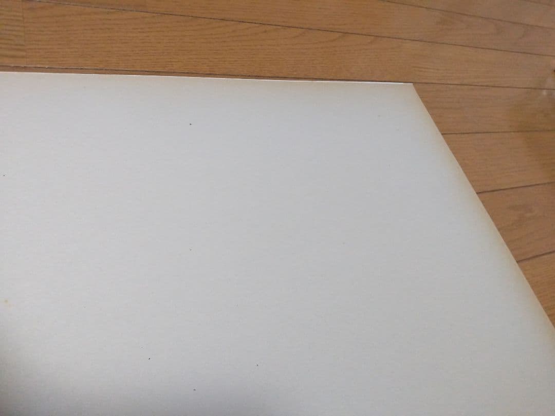 アンディ・ウォーホル アートポスター 1984 冬季オリンピック ポスター