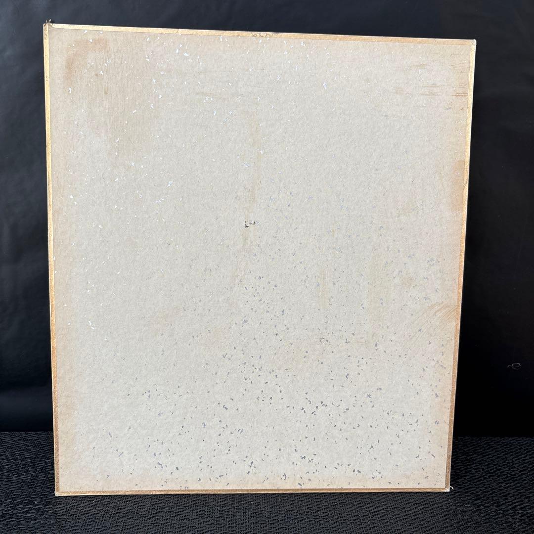 専用品です‼️