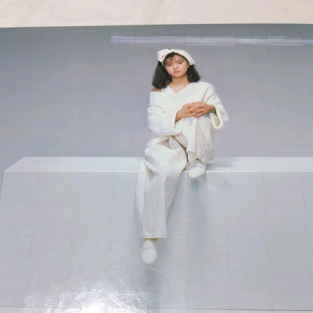 薬師丸ひろ子　レトロ　希少品　資生堂　ポーセリア　販売企画書　非売品　冊子