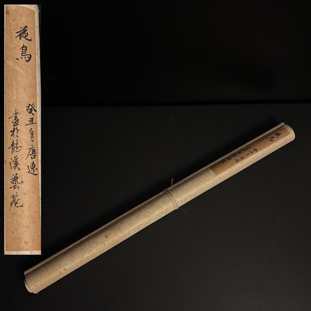 模写 唐逸 鶏図 掛軸 QS-6