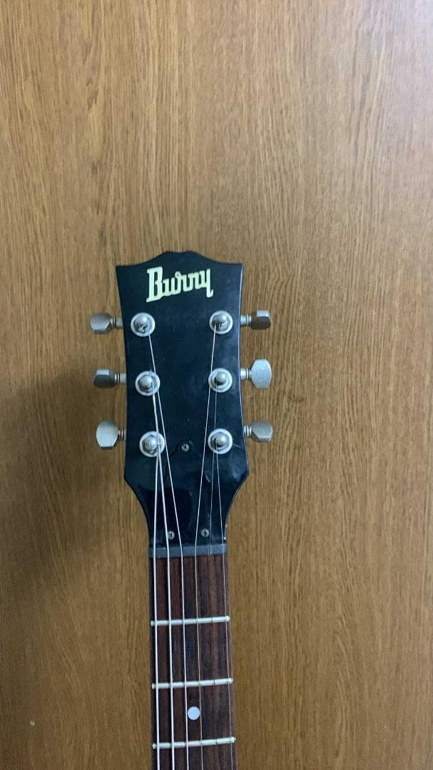 ギター barny lg 480