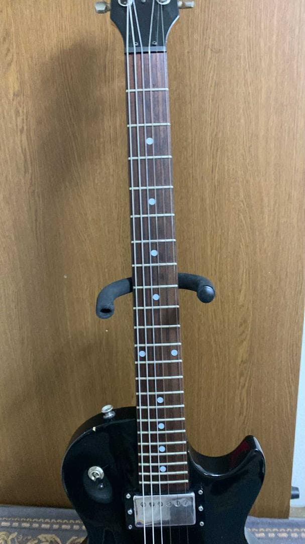 ギター barny lg 480