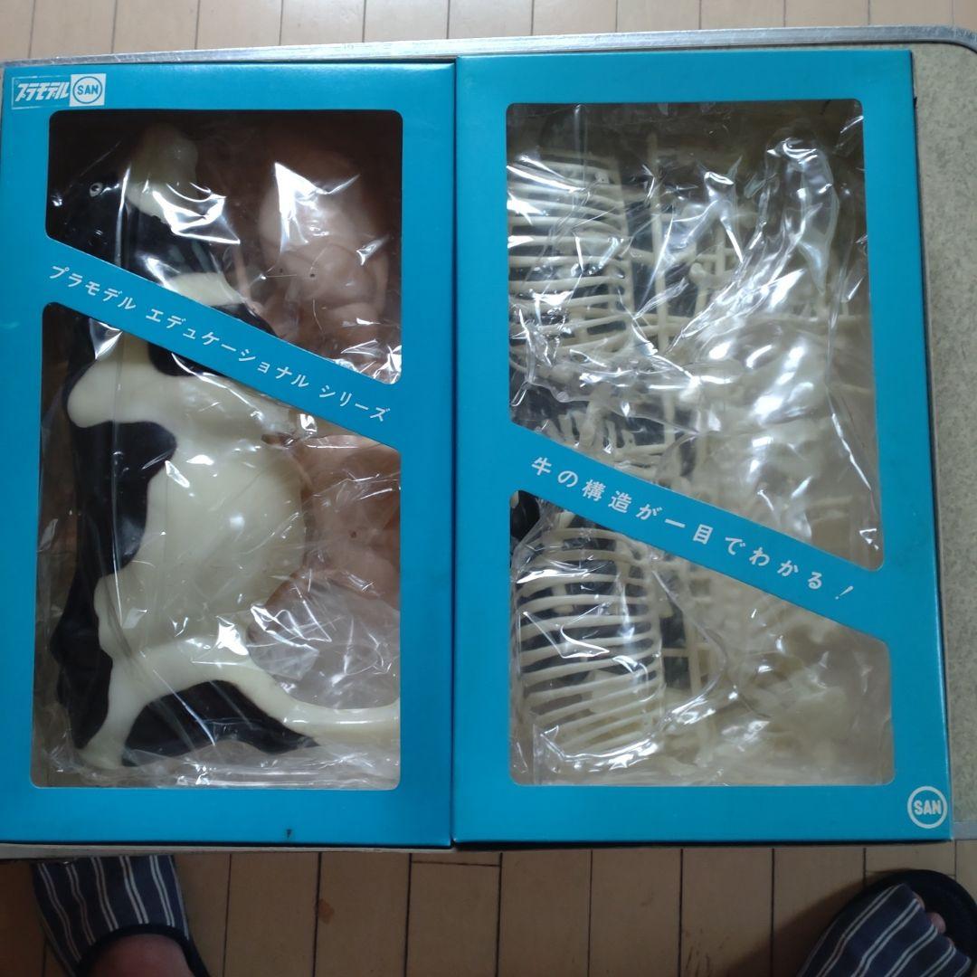 年始セール。マルサン　乳牛の秘密　プラモデル