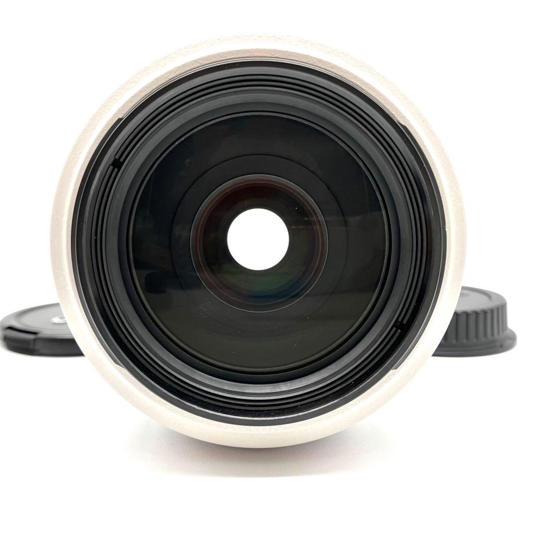 ❁動作良好❁Canon EF 70-300mm F4-5.6 L IS USM