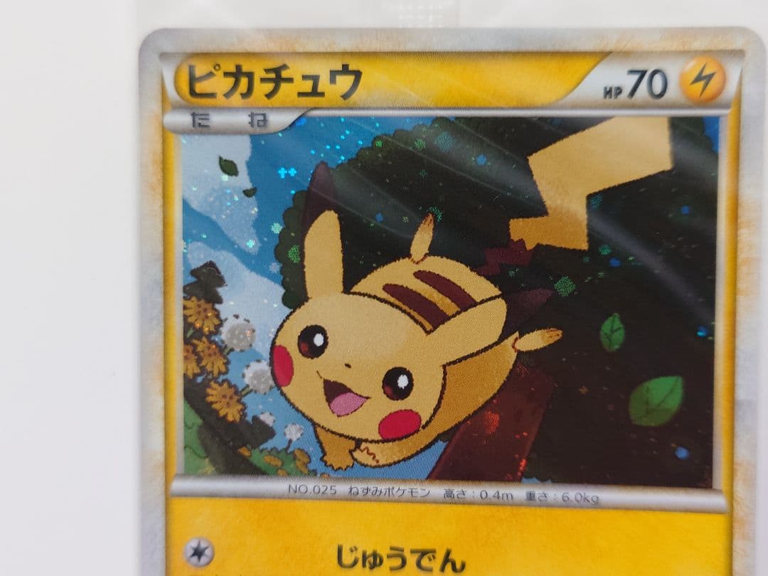 ポケモンだいすきクラブ　プロモ　ゴールドランク　019/L-P　未開封　封筒付き