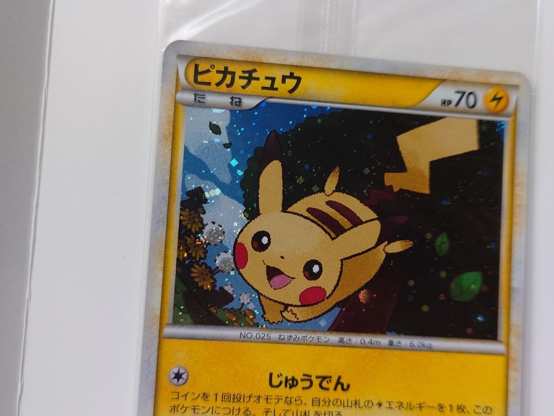 ポケモンだいすきクラブ　プロモ　ゴールドランク　019/L-P　未開封　封筒付き
