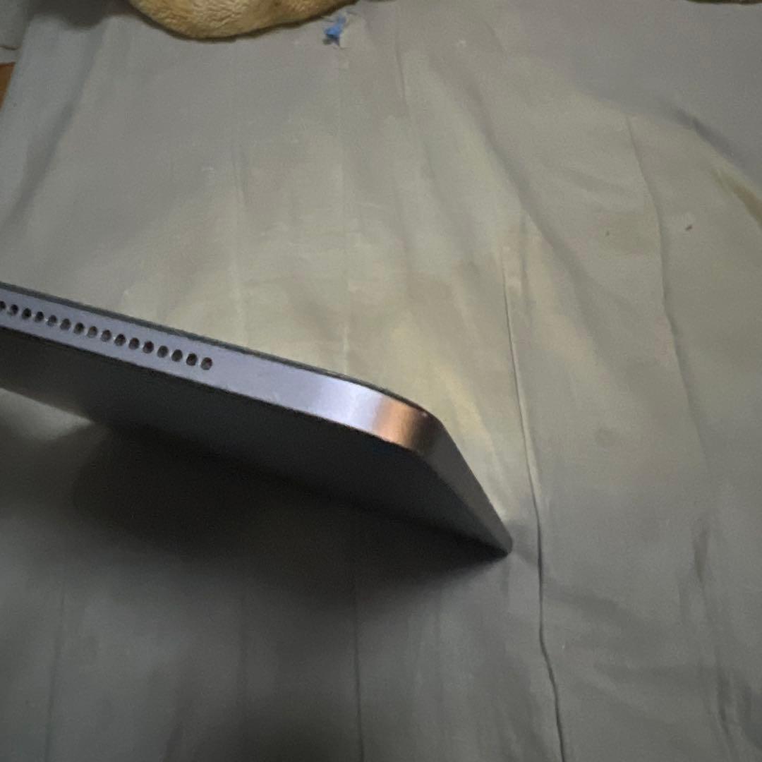 Apple iPadpro 12.9(第3世代) 256GB AppleP2