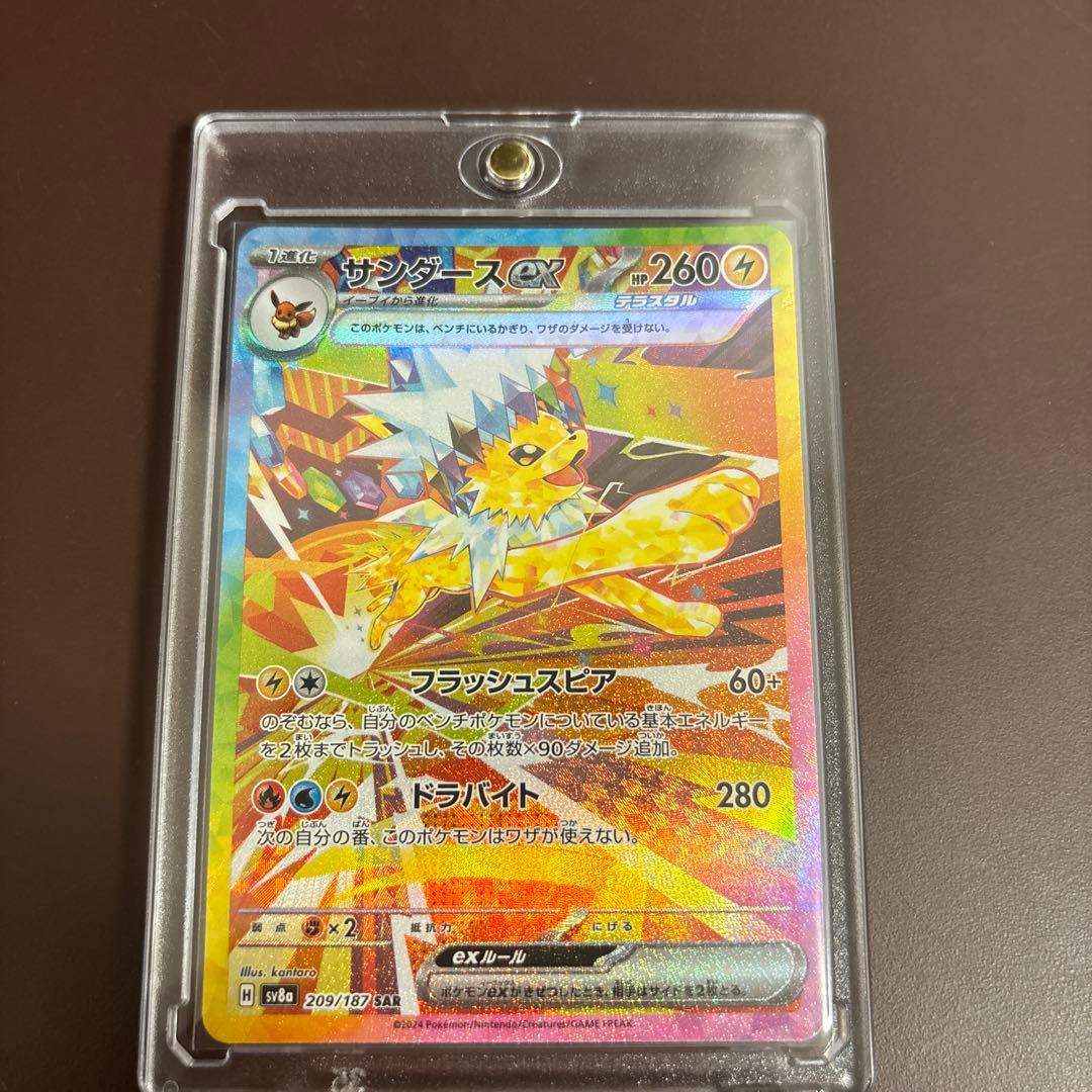 テラスタルフェスゴットパック9枚セット 美品