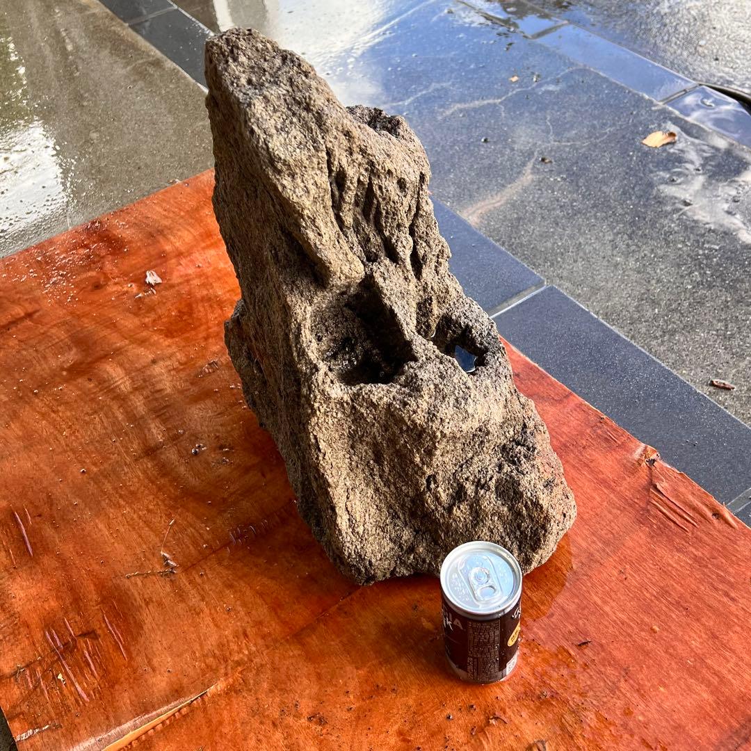 ADA Aqua Design Amano 雲山石XL巨大良形