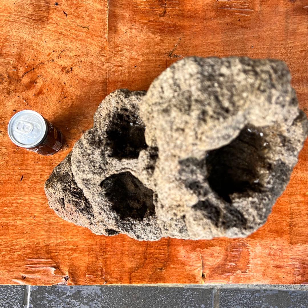 ADA Aqua Design Amano 雲山石XL巨大良形