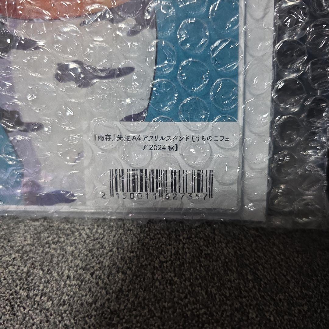 雨存　うちのこフェス2024秋　色紙セット