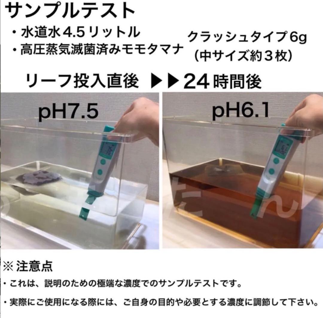 お徳用！サイズランダム400g高圧蒸気滅菌沖縄県産無農薬モモタマナ