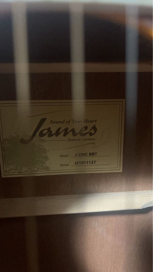 James J-350C BBT アコースティックギター セミハードケース付き
