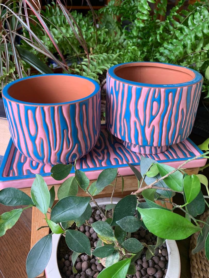 植木鉢andソーサー✳︎POT観葉植物✳︎園芸プランター