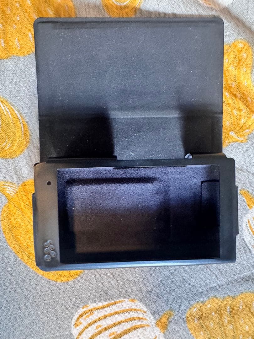 SONY NW-WM1AM2 と純正レザーケース