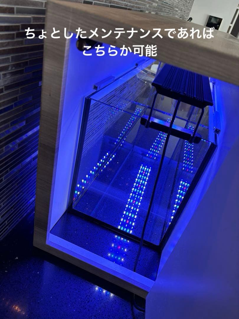 90㎝水槽　スリム水槽　オーダーメイド フード付　海水魚水槽　珊瑚　LEDセット