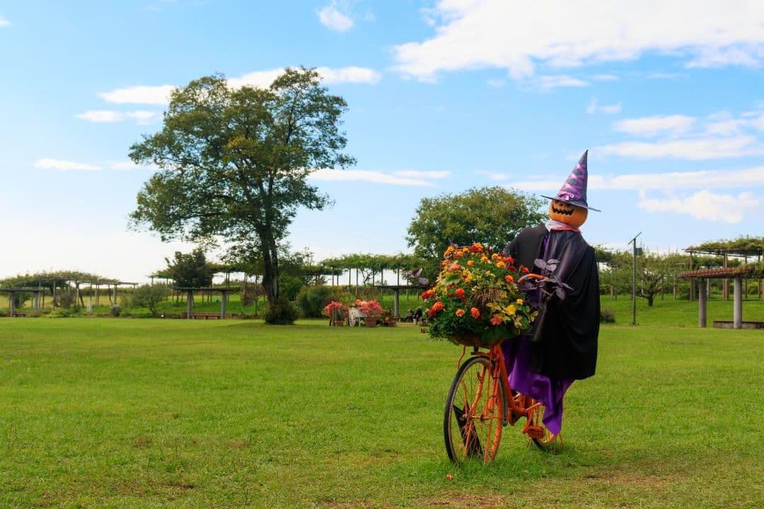 Canon EOS Kiss X８i 標準ズームレンズ付