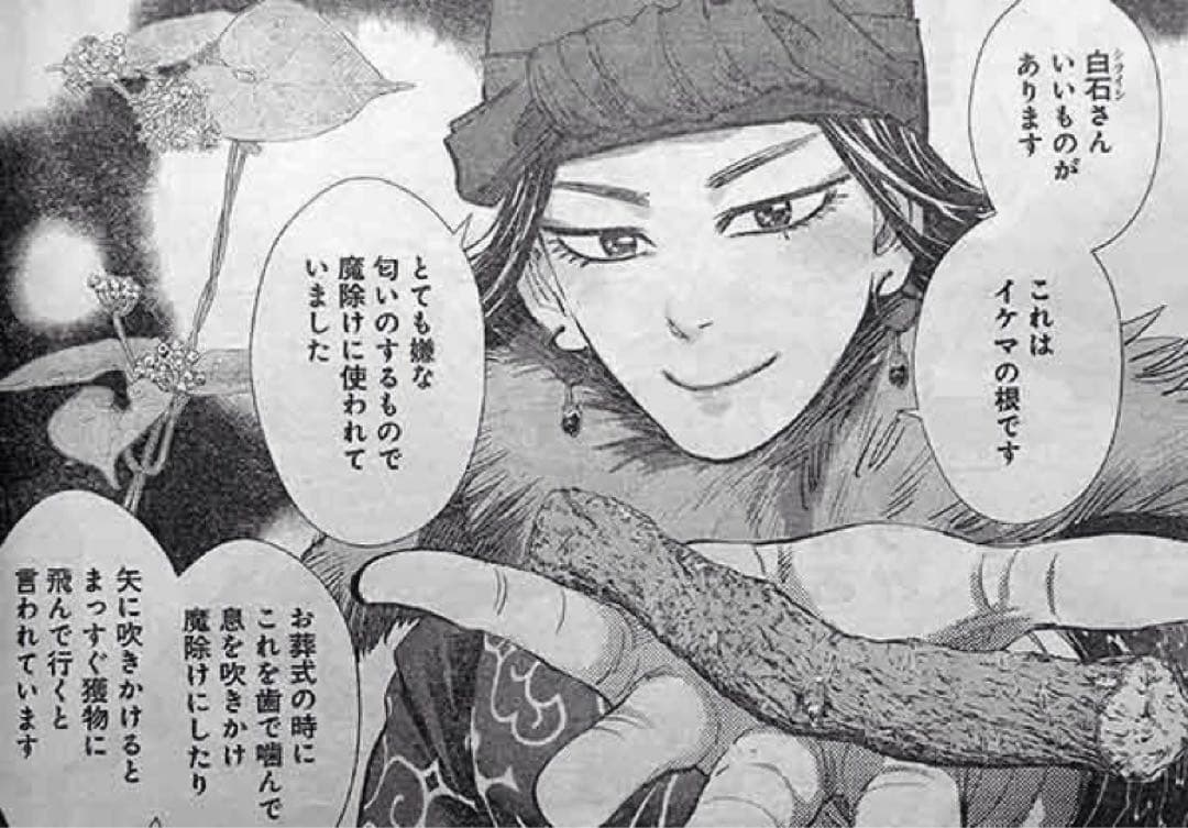 金カム　ゴールデンカムイ　イケマの根