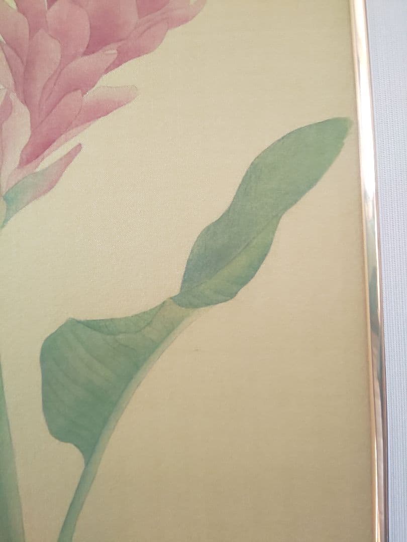 絵画 額付き ヒメバショウ 絹本 花鳥画