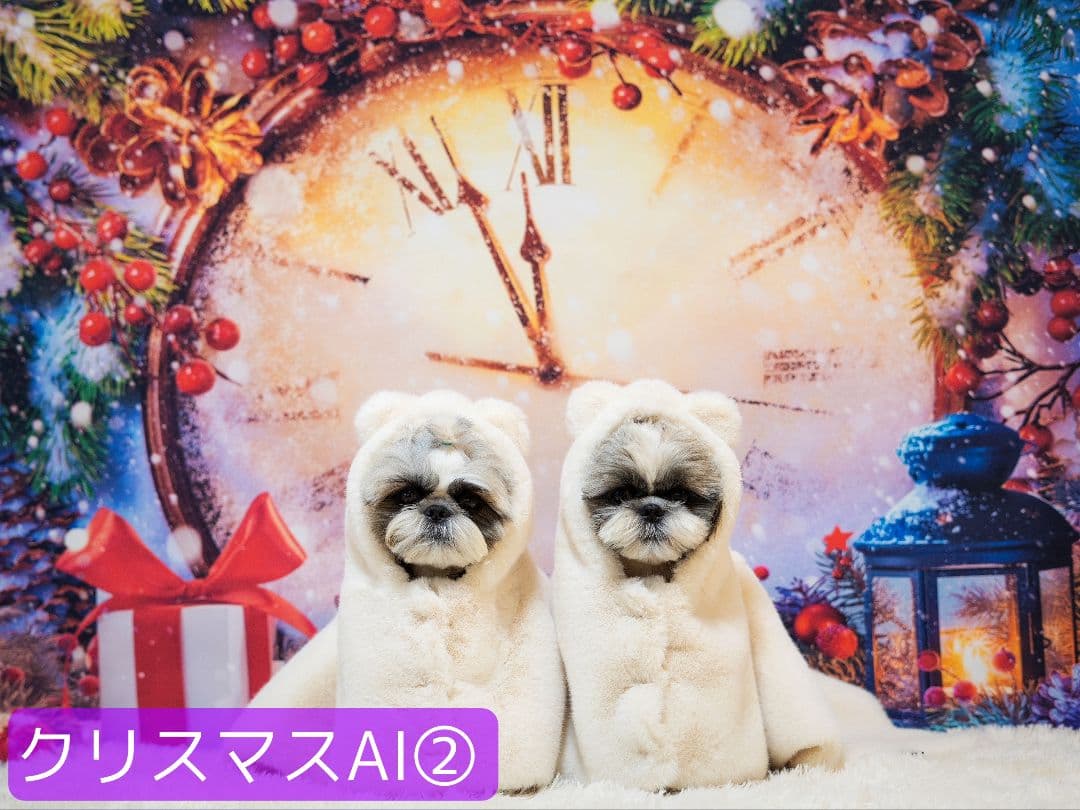 背景布【お正月F】サンプル　年賀状、ペット、子供撮影用　梅　和柄　門松　しめ縄