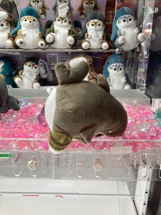 即購入可！ mofusand サメにゃん ぬいぐるみ2 ８種セット