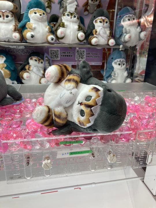 即購入可！ mofusand サメにゃん ぬいぐるみ2 ８種セット