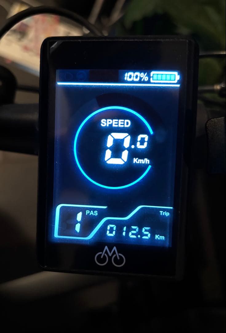 MATE CITY 走行距離12.5Km 電動アシスト自転車 ブラック