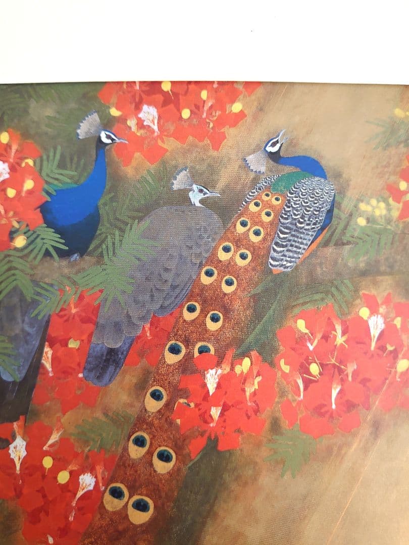 ✨白孔雀 花鳥 上村松篁　全8枚✨