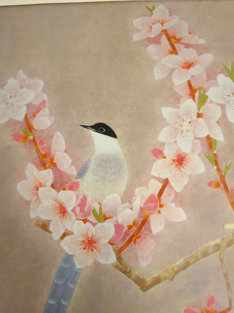 ✨白孔雀 花鳥 上村松篁　全8枚✨