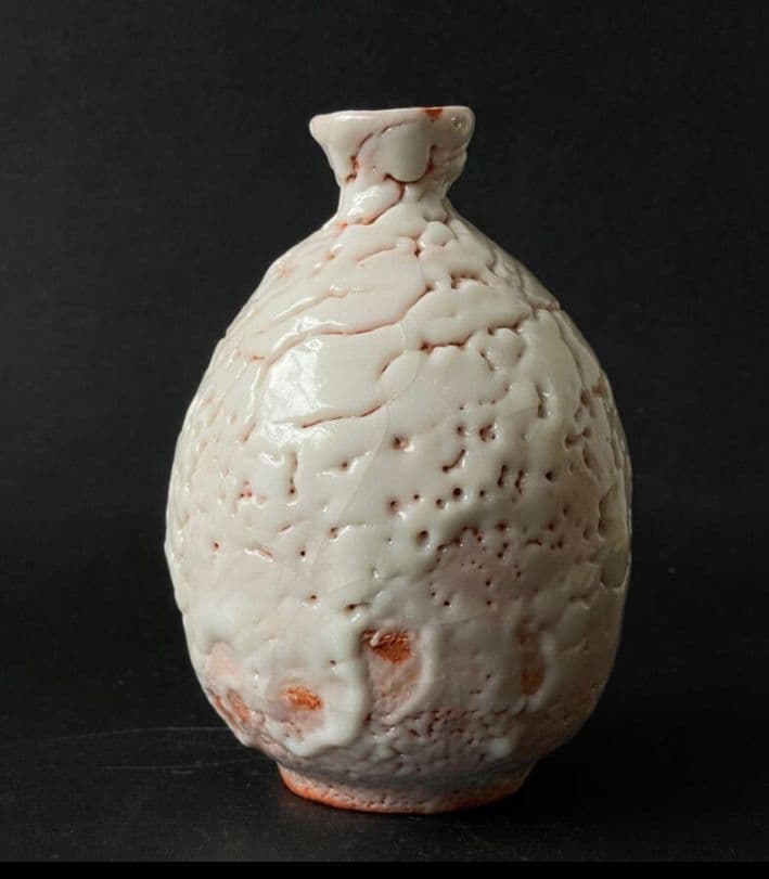 玉置保夫 志野 徳利 共箱 在銘 布