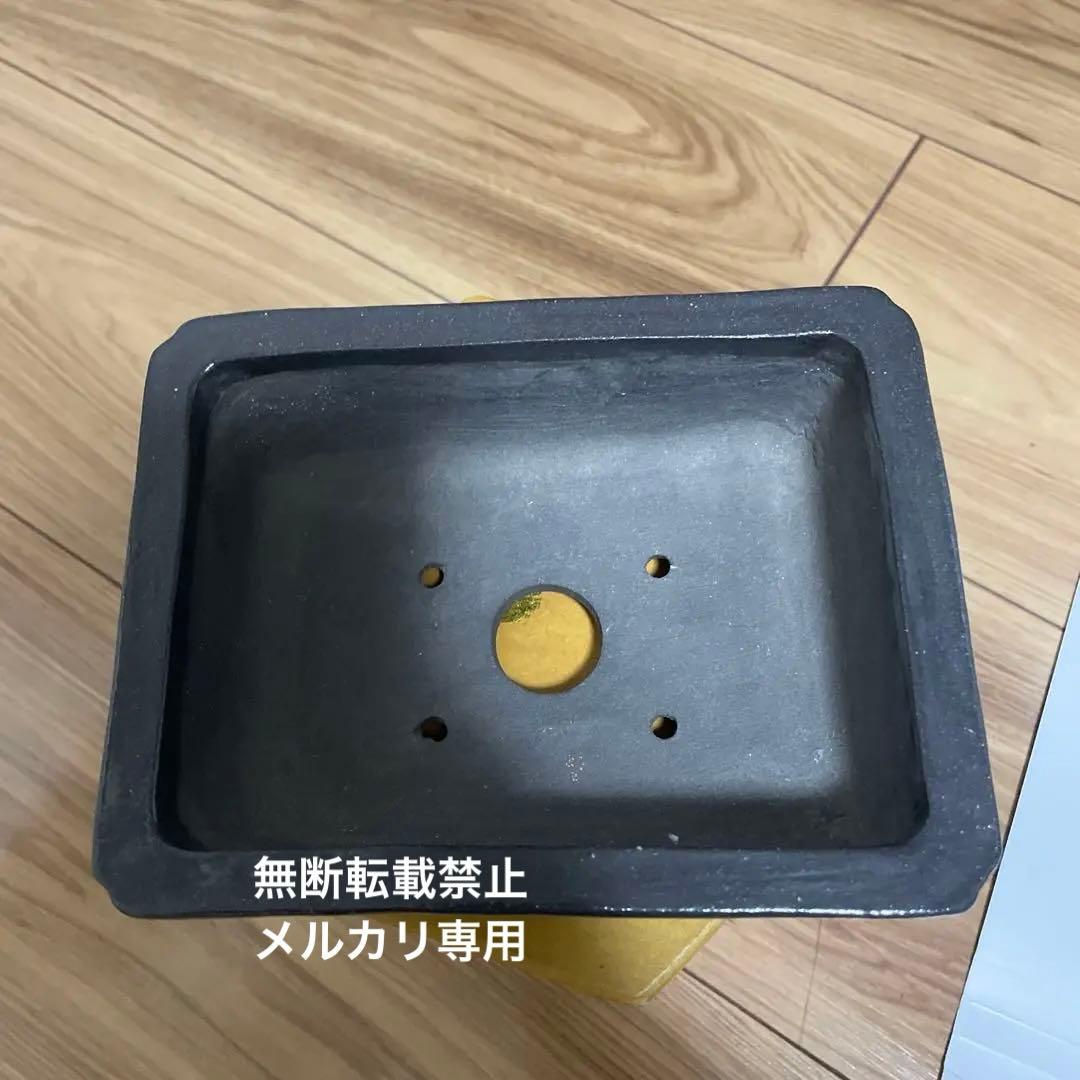 盆栽鉢　桑津香石　絵鉢　山野草　桜　松　鳥　小品盆栽